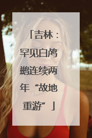 吉林：罕见白鸬鹚连续两年“故地重游”