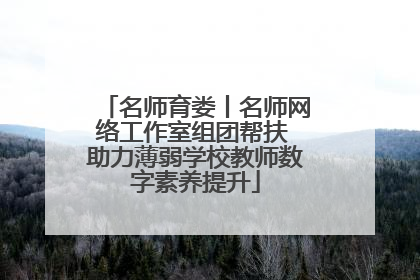 名师育娄丨名师网络工作室组团帮扶 助力薄弱学校教师数字素养提升