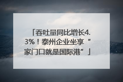 吞吐量同比增长4.3%！泰州企业坐享“家门口就是国际港”