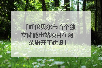 呼伦贝尔市首个独立储能电站项目在阿荣旗开工建设