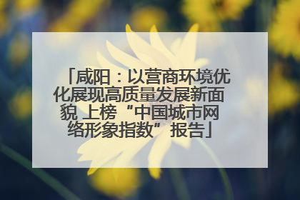 咸阳：以营商环境优化展现高质量发展新面貌 上榜“中国城市网络形象指数”报告