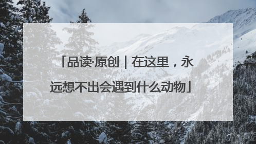 品读·原创｜在这里，永远想不出会遇到什么动物