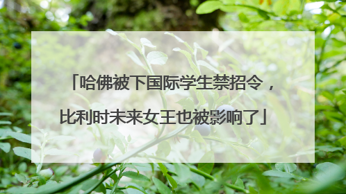哈佛被下国际学生禁招令，比利时未来女王也被影响了
