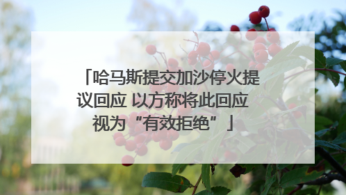 哈马斯提交加沙停火提议回应 以方称将此回应视为“有效拒绝”