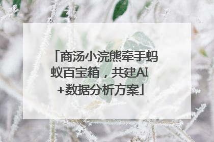 商汤小浣熊牵手蚂蚁百宝箱，共建AI+数据分析方案