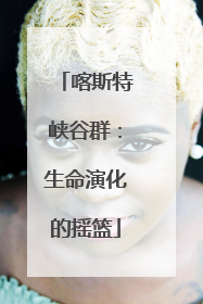 喀斯特峡谷群：生命演化的摇篮