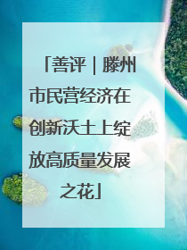 善评｜滕州市民营经济在创新沃土上绽放高质量发展之花