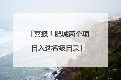 喜报！肥城两个项目入选省级目录