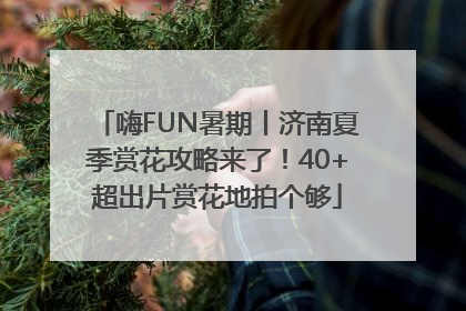 嗨FUN暑期丨济南夏季赏花攻略来了！40+超出片赏花地拍个够