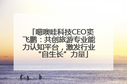 嗯噢哇科技CEO窦飞鹏：共创旅游专业能力认知平台，激发行业“自生长”力量
