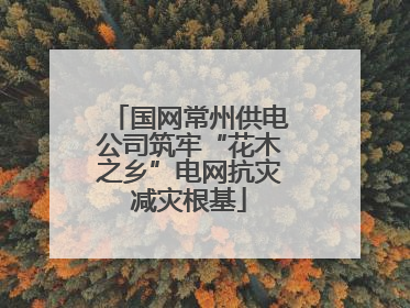 国网常州供电公司筑牢“花木之乡”电网抗灾减灾根基