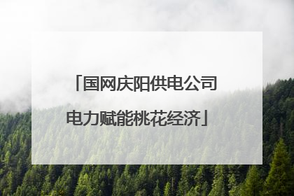国网庆阳供电公司电力赋能桃花经济
