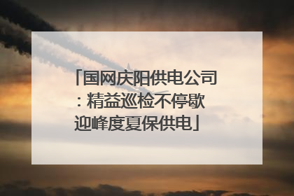 国网庆阳供电公司：精益巡检不停歇 迎峰度夏保供电