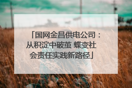 国网金昌供电公司：从积淀中破茧 蝶变社会责任实践新路径