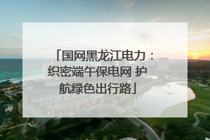国网黑龙江电力：织密端午保电网 护航绿色出行路