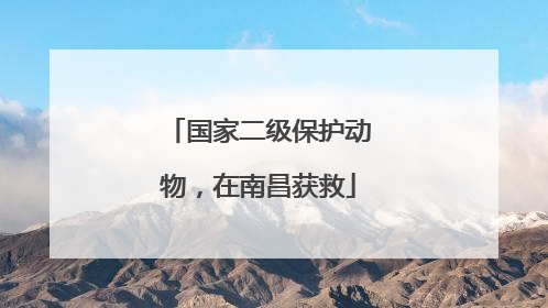 国家二级保护动物，在南昌获救