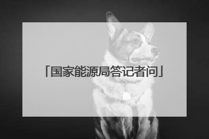 国家能源局答记者问