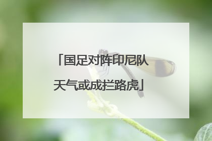 国足对阵印尼队 天气或成拦路虎