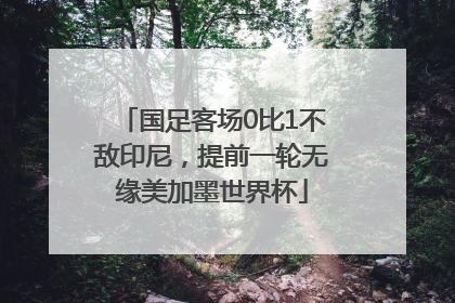 国足客场0比1不敌印尼，提前一轮无缘美加墨世界杯