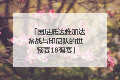 国足抵达雅加达备战与印尼队的世预赛18强赛