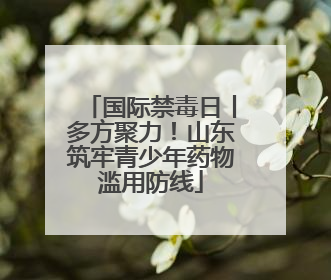 国际禁毒日丨多方聚力！山东筑牢青少年药物滥用防线