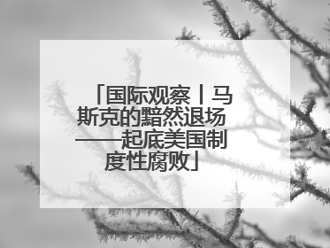 国际观察丨马斯克的黯然退场——起底美国制度性腐败