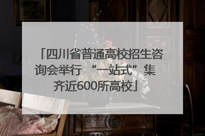 四川省普通高校招生咨询会举行 “一站式”集齐近600所高校