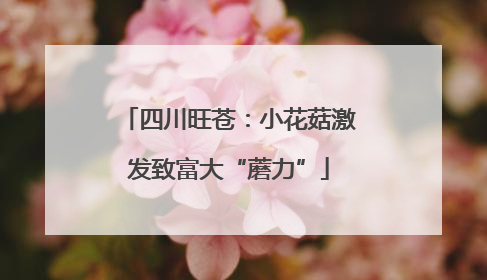 四川旺苍：小花菇激发致富大“蘑力”