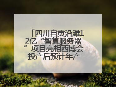 四川自贡沿滩12亿“智算服务器”项目亮相西博会 投产后预计年产值达15亿元