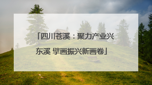 四川苍溪：聚力产业兴东溪 擘画振兴新画卷