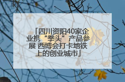 四川资阳40家企业携“拳头”产品参展 西博会打卡地铁上的创业城市