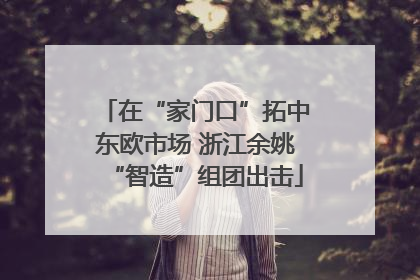 在“家门口”拓中东欧市场 浙江余姚“智造”组团出击