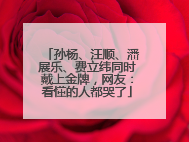 孙杨、汪顺、潘展乐、费立纬同时戴上金牌，网友：看懂的人都哭了