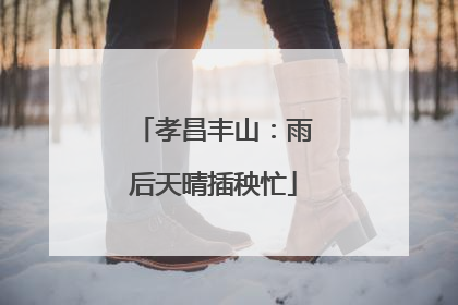 孝昌丰山：雨后天晴插秧忙