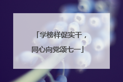 学榜样促实干，同心向党颂七一