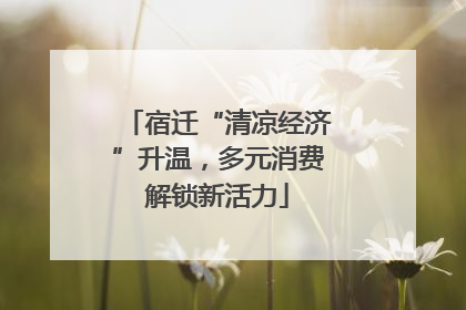 宿迁“清凉经济”升温，多元消费解锁新活力