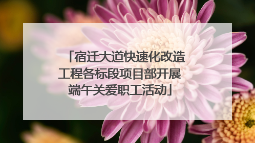 宿迁大道快速化改造工程各标段项目部开展端午关爱职工活动