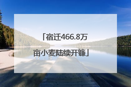 宿迁466.8万亩小麦陆续开镰