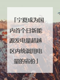 宁夏成为国内首个日新能源发电量超越区内统调用电量的省份