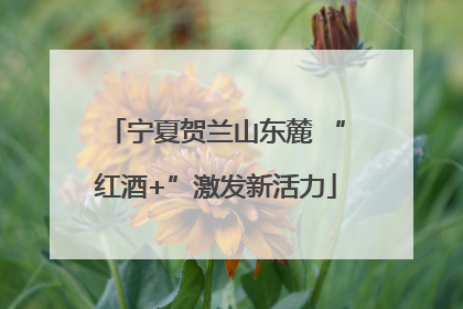 宁夏贺兰山东麓 “红酒+”激发新活力