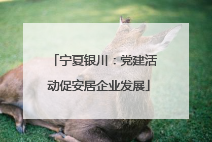 宁夏银川：党建活动促安居企业发展