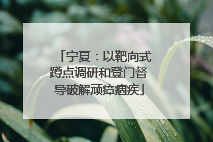 宁夏：以靶向式蹲点调研和登门督导破解顽瘴痼疾