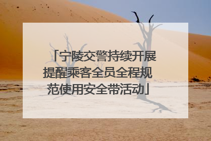 宁陵交警持续开展提醒乘客全员全程规范使用安全带活动
