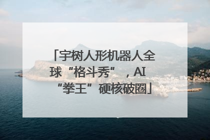 宇树人形机器人全球“格斗秀”，AI“拳王”硬核破圈