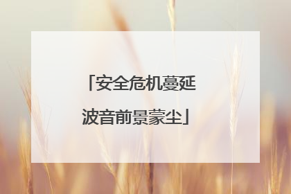 安全危机蔓延 波音前景蒙尘