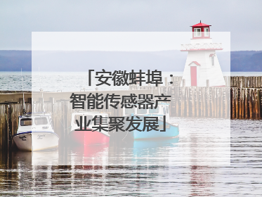 安徽蚌埠：智能传感器产业集聚发展