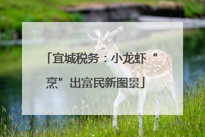 宜城税务：小龙虾“烹”出富民新图景