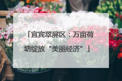 宜宾翠屏区：万亩荷塘绽放“美丽经济”