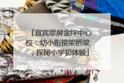 宜宾翠屏金坪中心校：幼小衔接架桥梁，探秘小学初体验