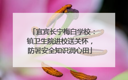 宜宾长宁梅白学校：镇卫生院进校送关怀，防暑安全知识润心田